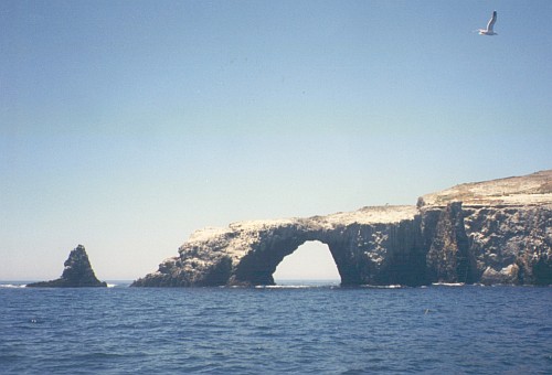 Arch Rock